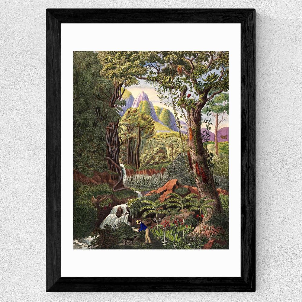 East End Prints Morenia Poppigiana