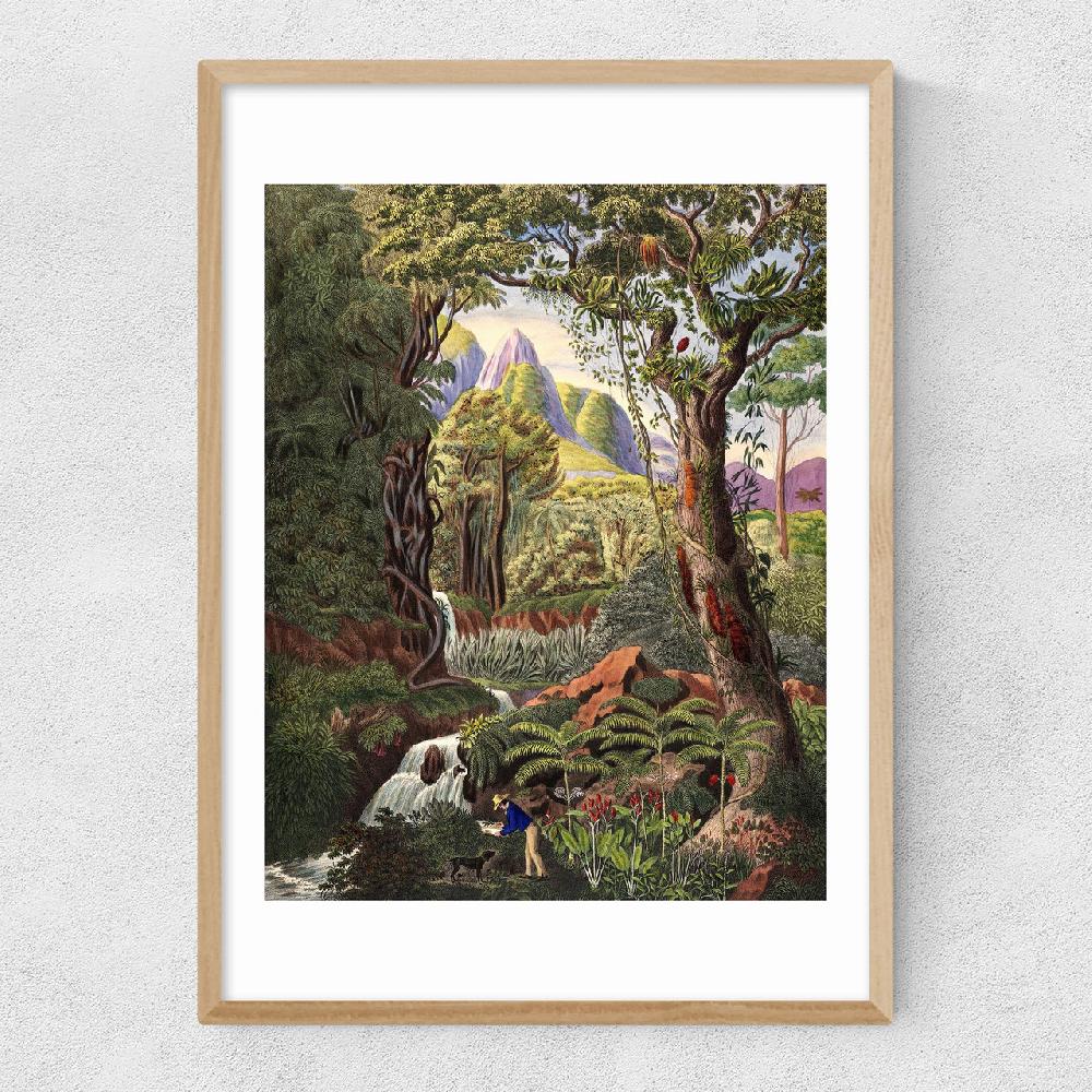 East End Prints Morenia Poppigiana