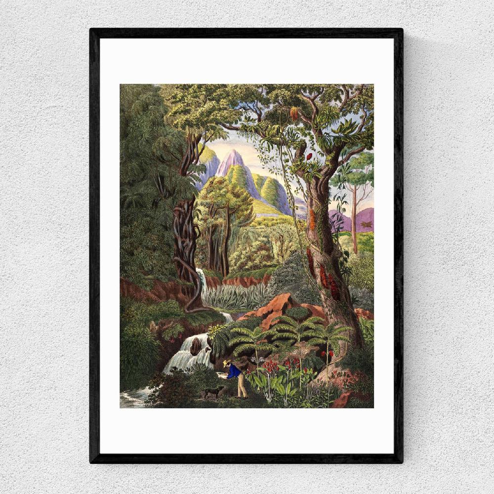 east end prints Morenia Poppigiana