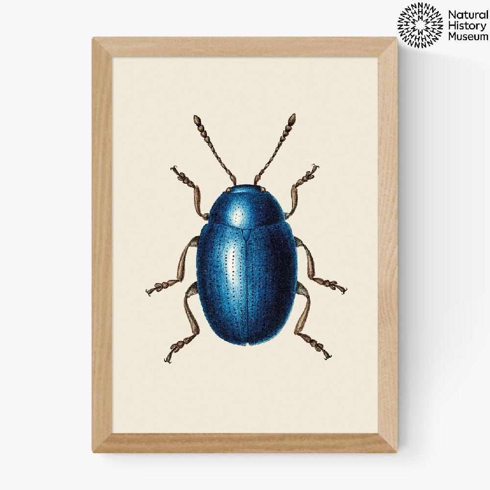 East End Prints Mustard Beetle