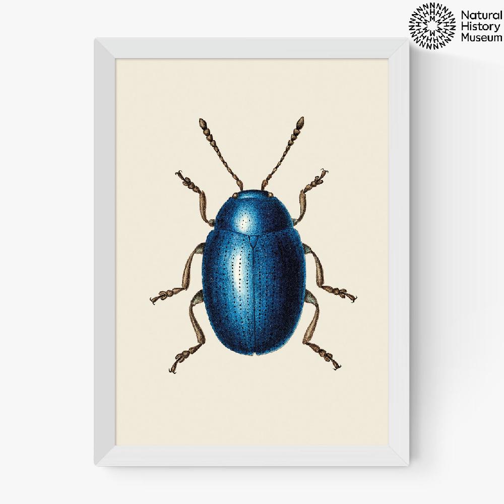 East End Prints Mustard Beetle
