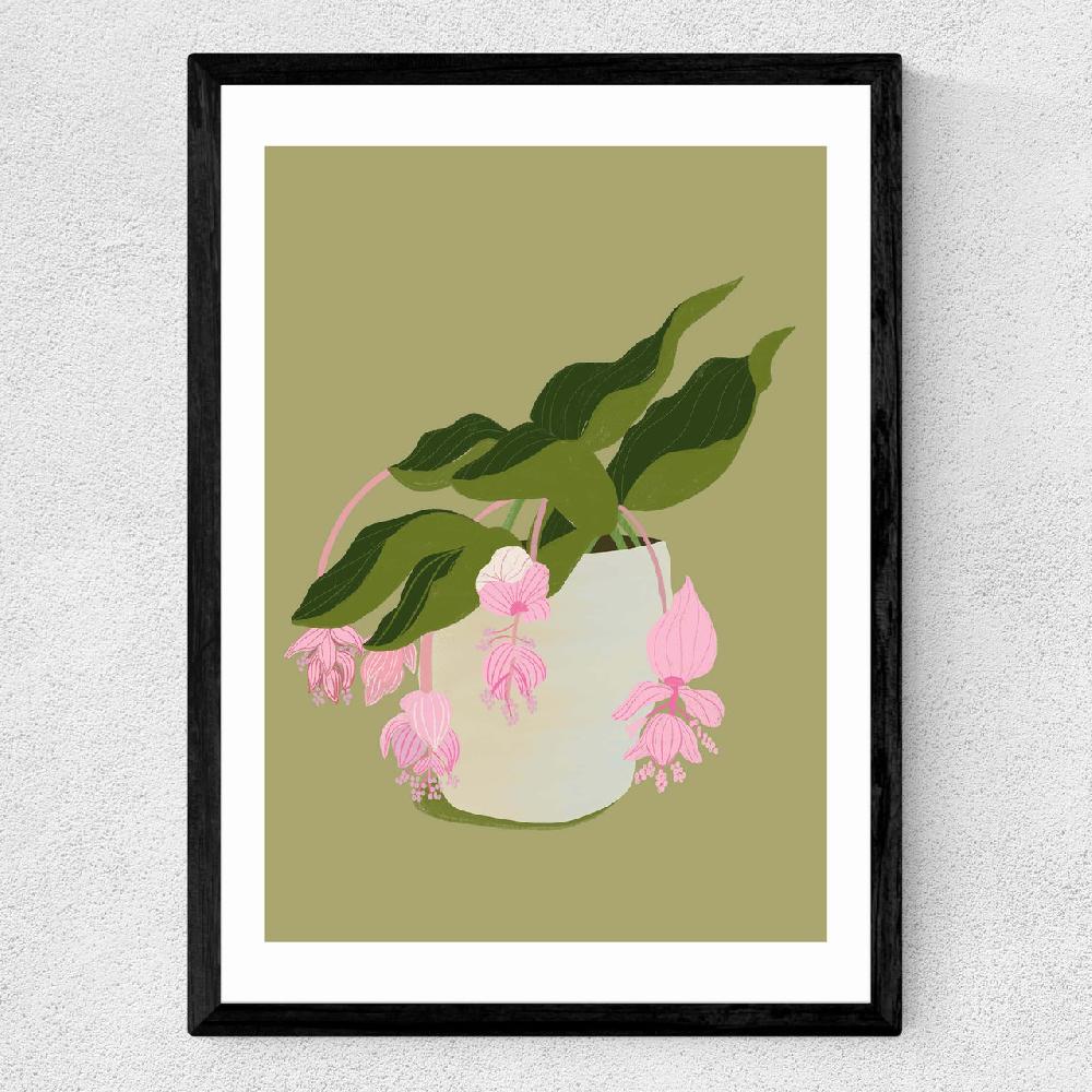 East End Prints My Medinilla Magnifica