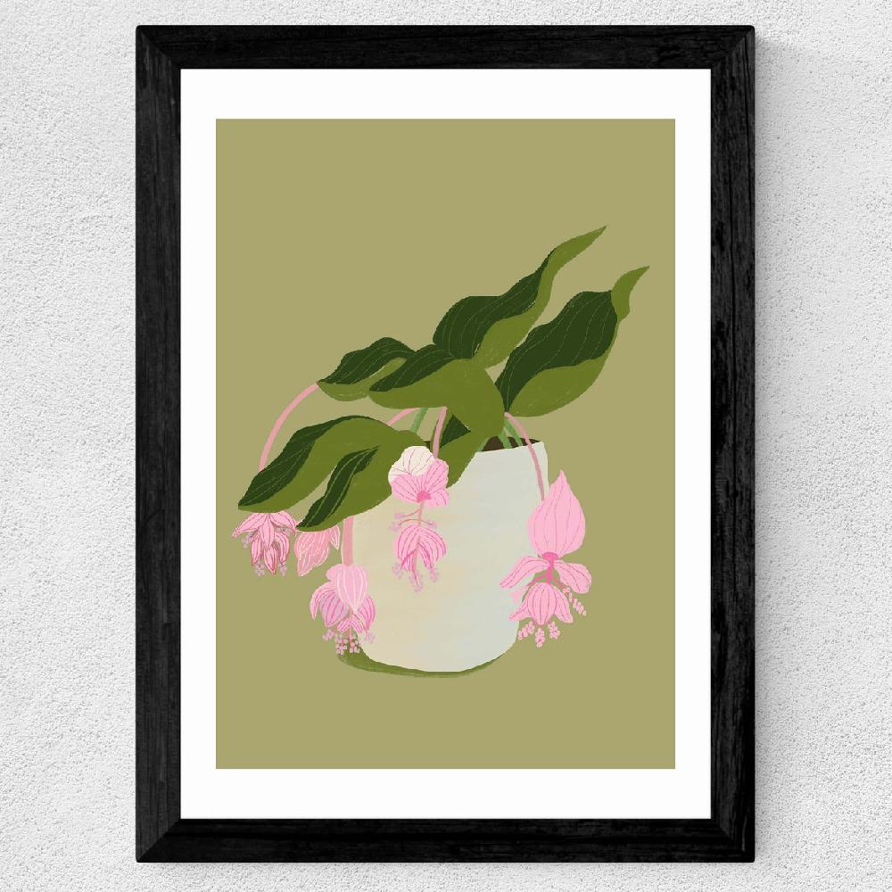 East End Prints My Medinilla Magnifica