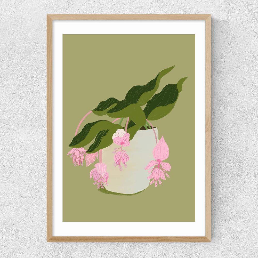 East End Prints My Medinilla Magnifica