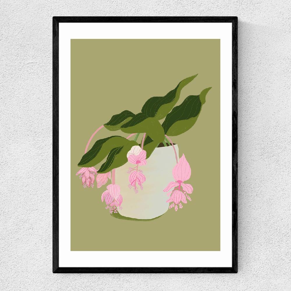 east end prints My Medinilla Magnifica