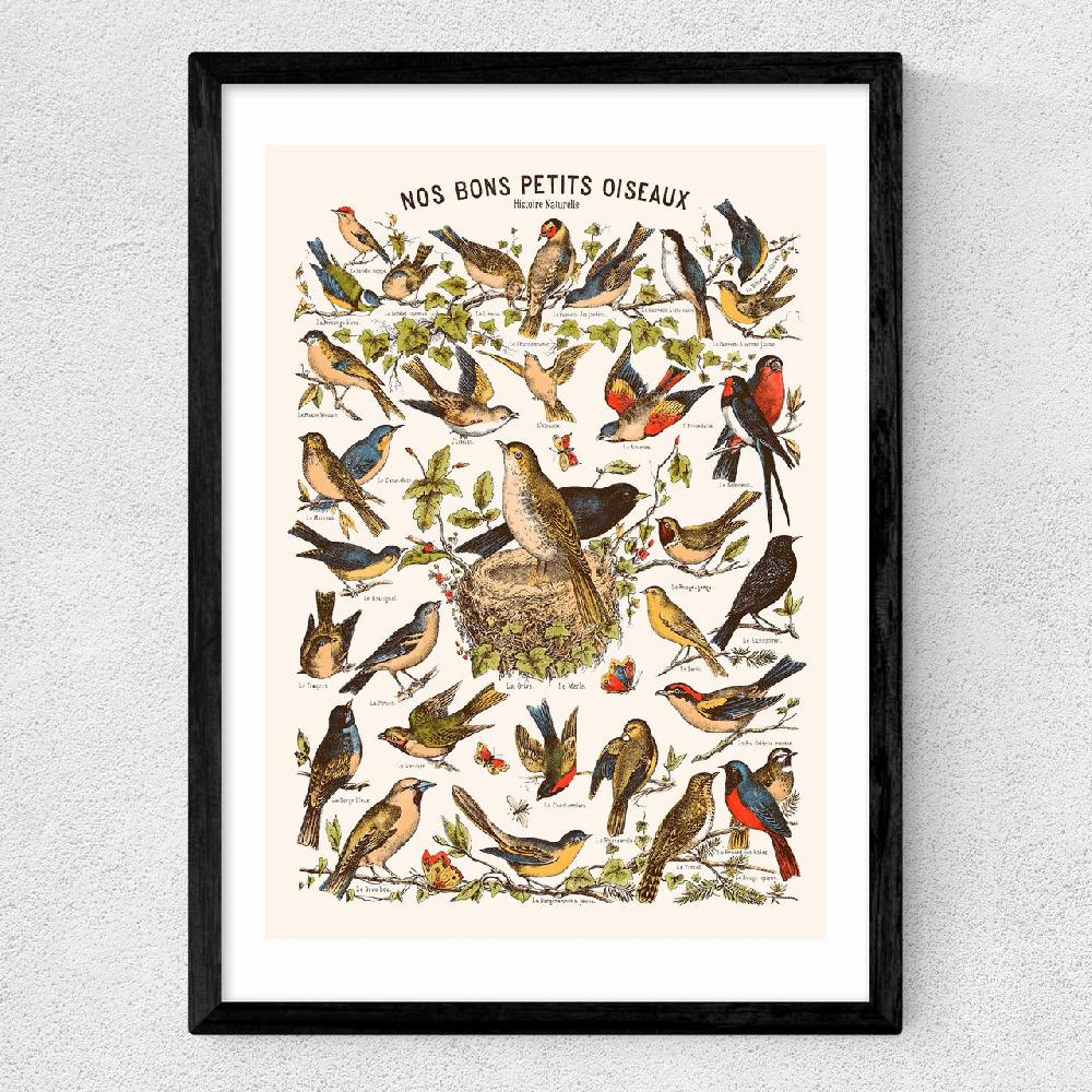 East End Prints Nos Bons Petits Oiseaux