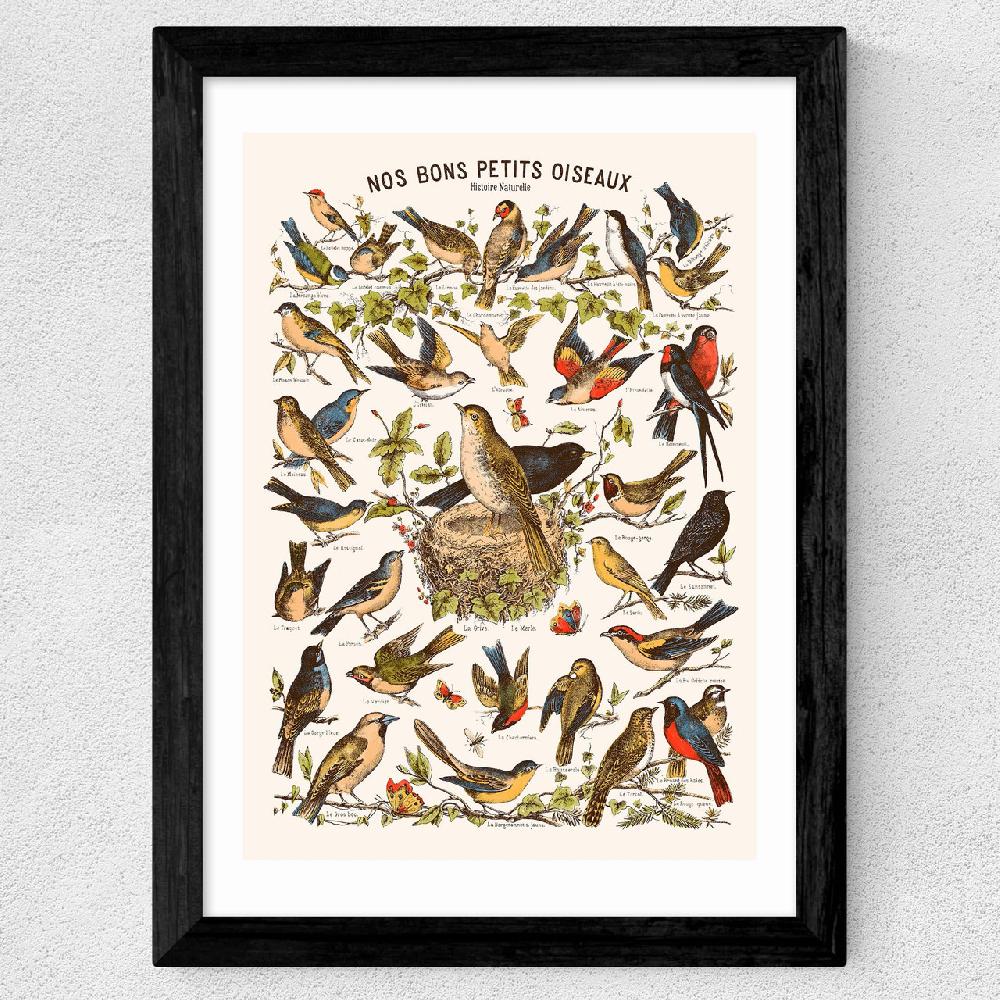 East End Prints Nos Bons Petits Oiseaux