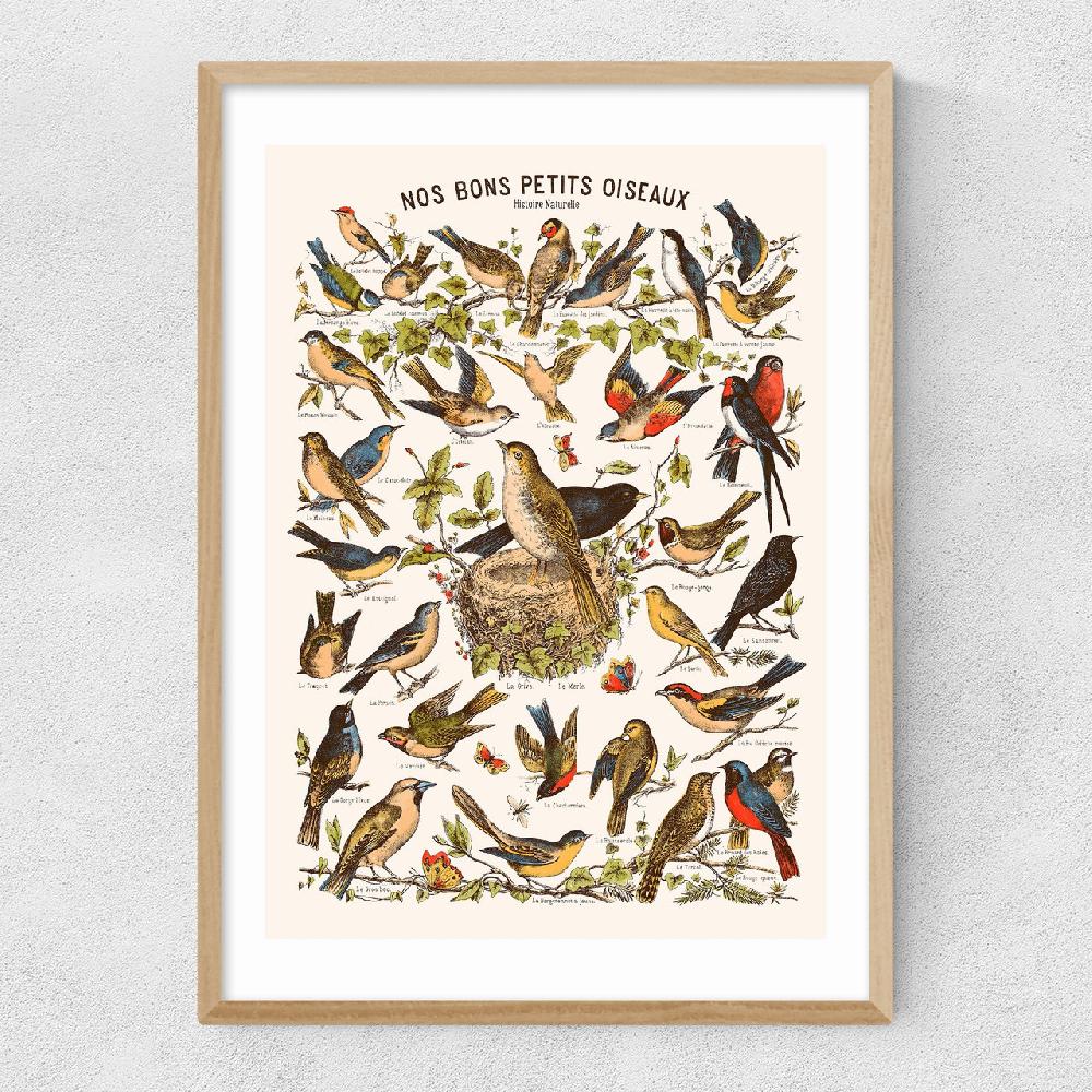 East End Prints Nos Bons Petits Oiseaux