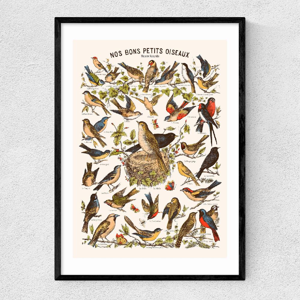 east end prints Nos bons Petits Oiseaux