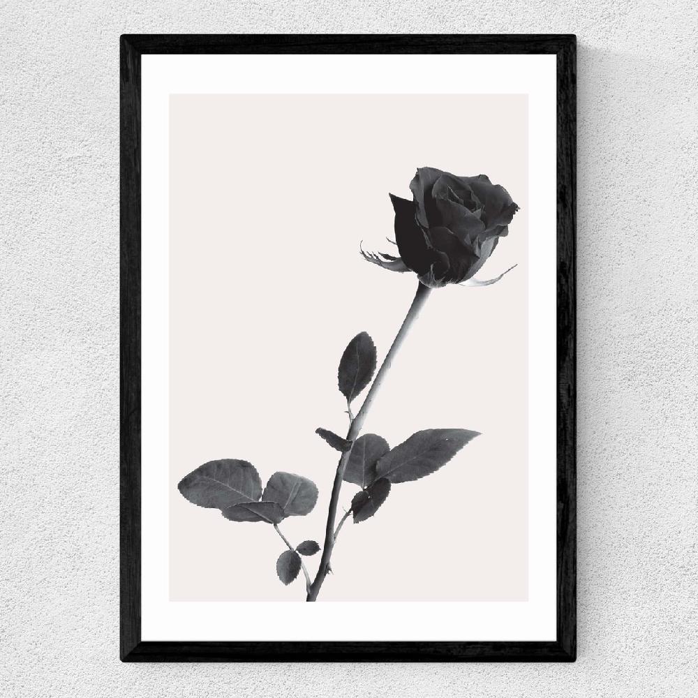 East End Prints One Rose