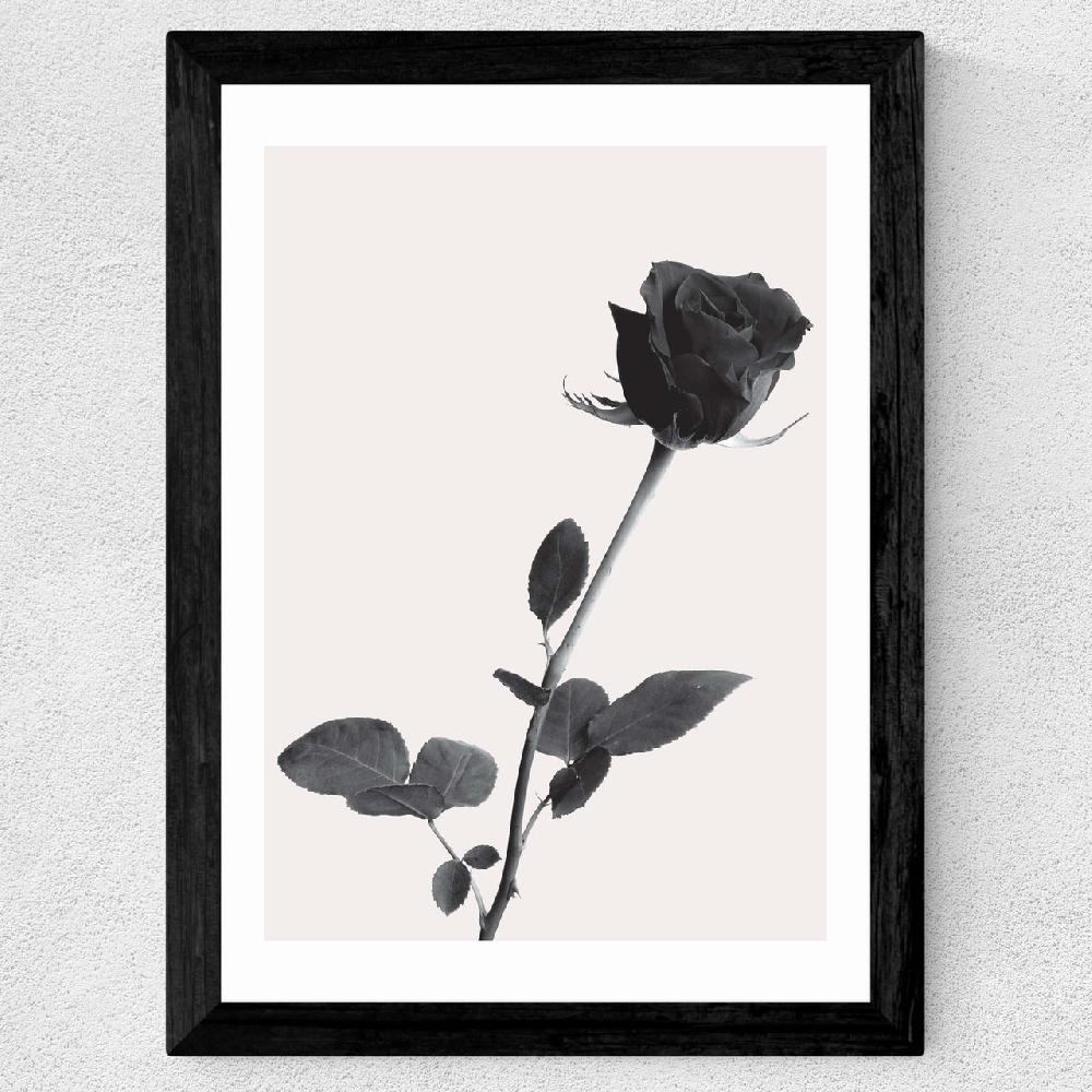 East End Prints One Rose