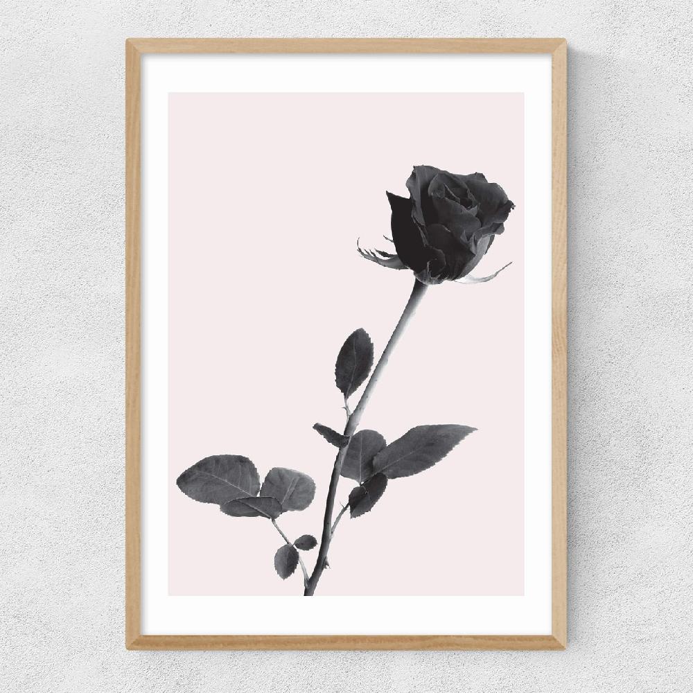 East End Prints One Rose