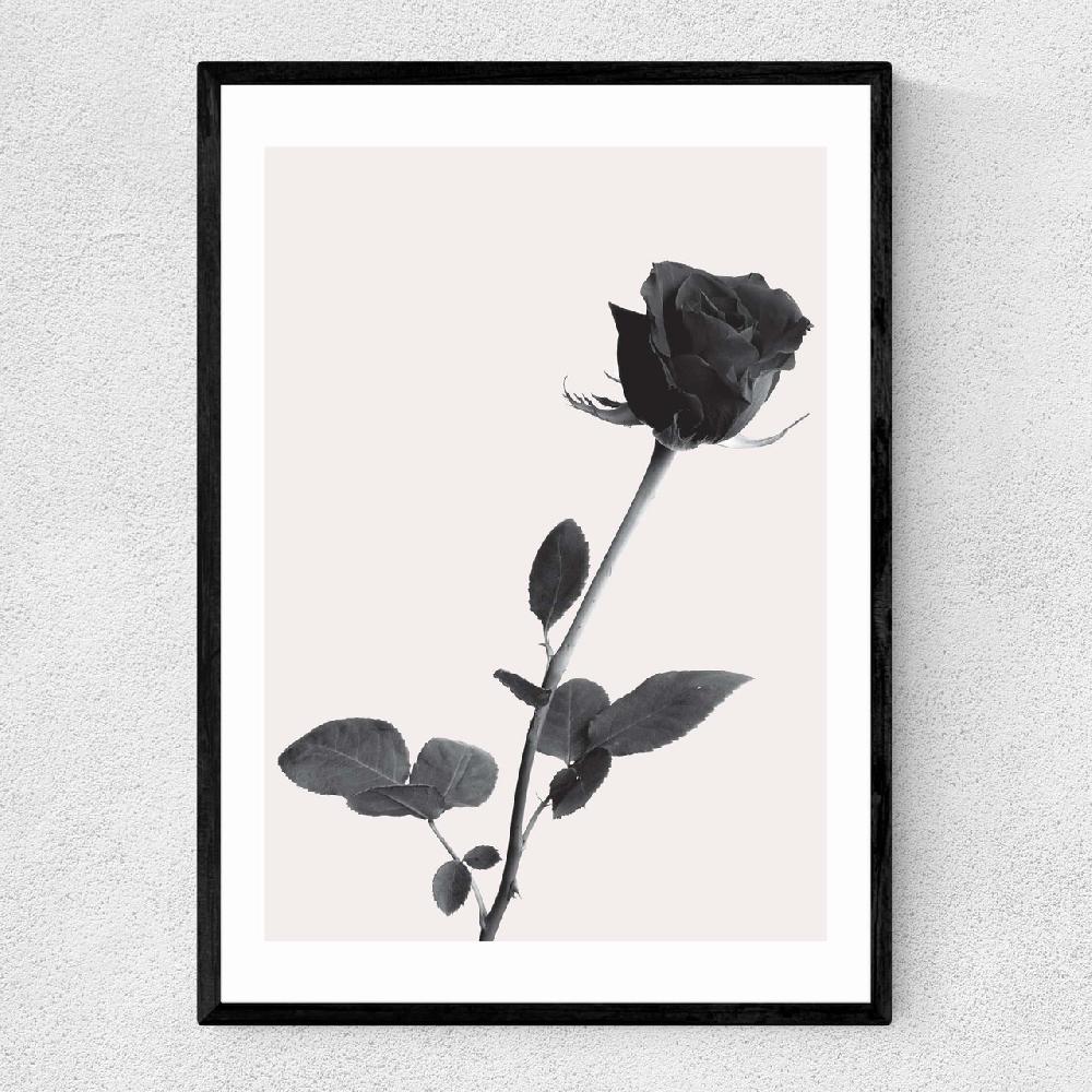 east end prints One Rose
