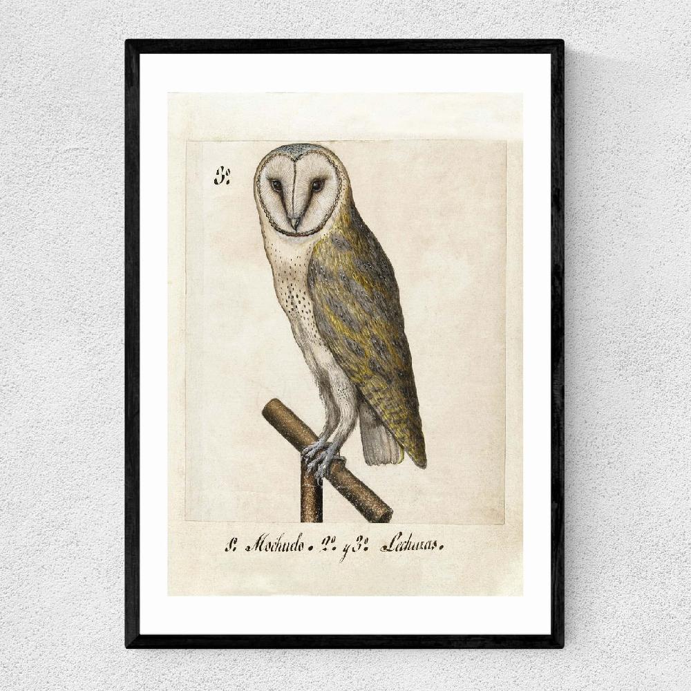 east end prints Owl Medieval