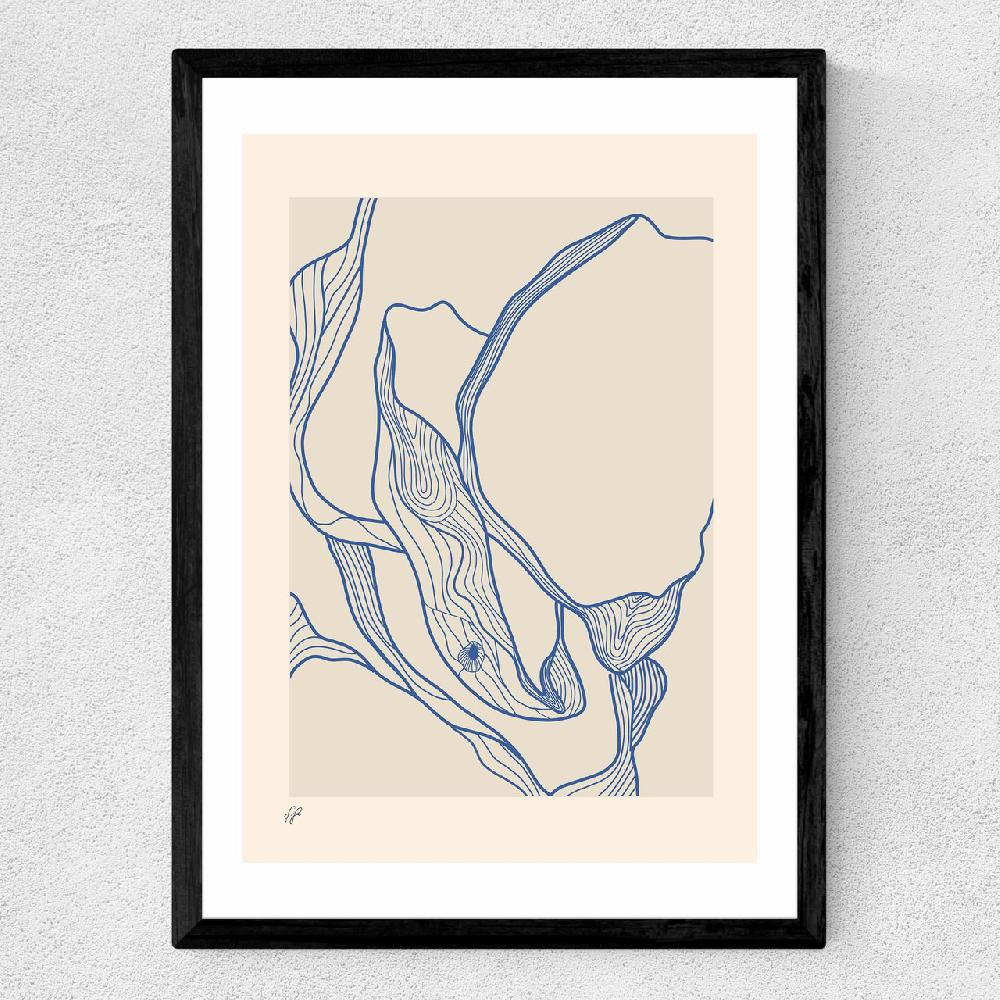 East End Prints Oyster Study