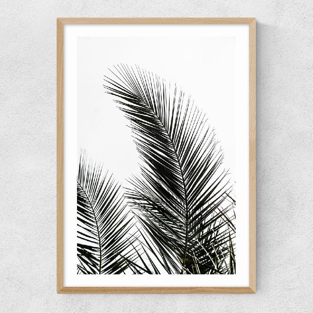 East End Prints Palm Leaves 1