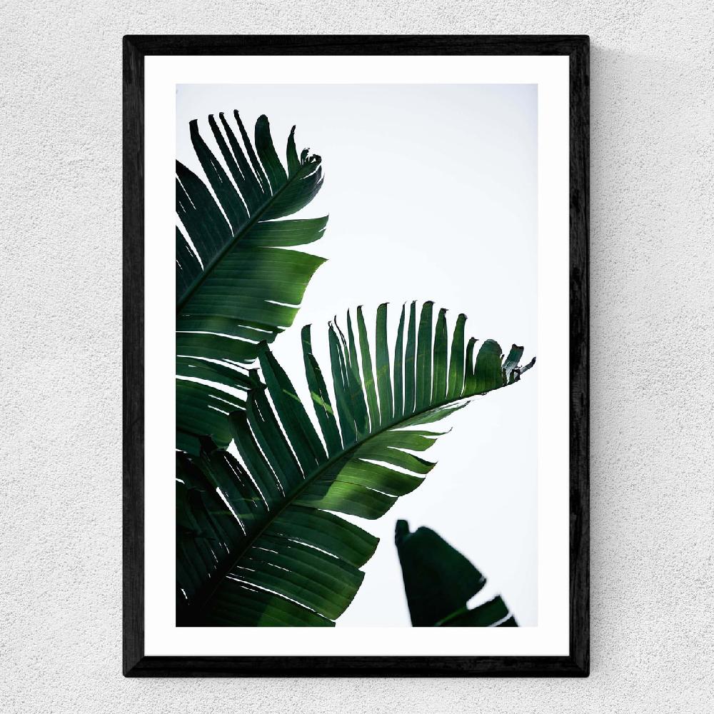 East End Prints Palm Leaves
