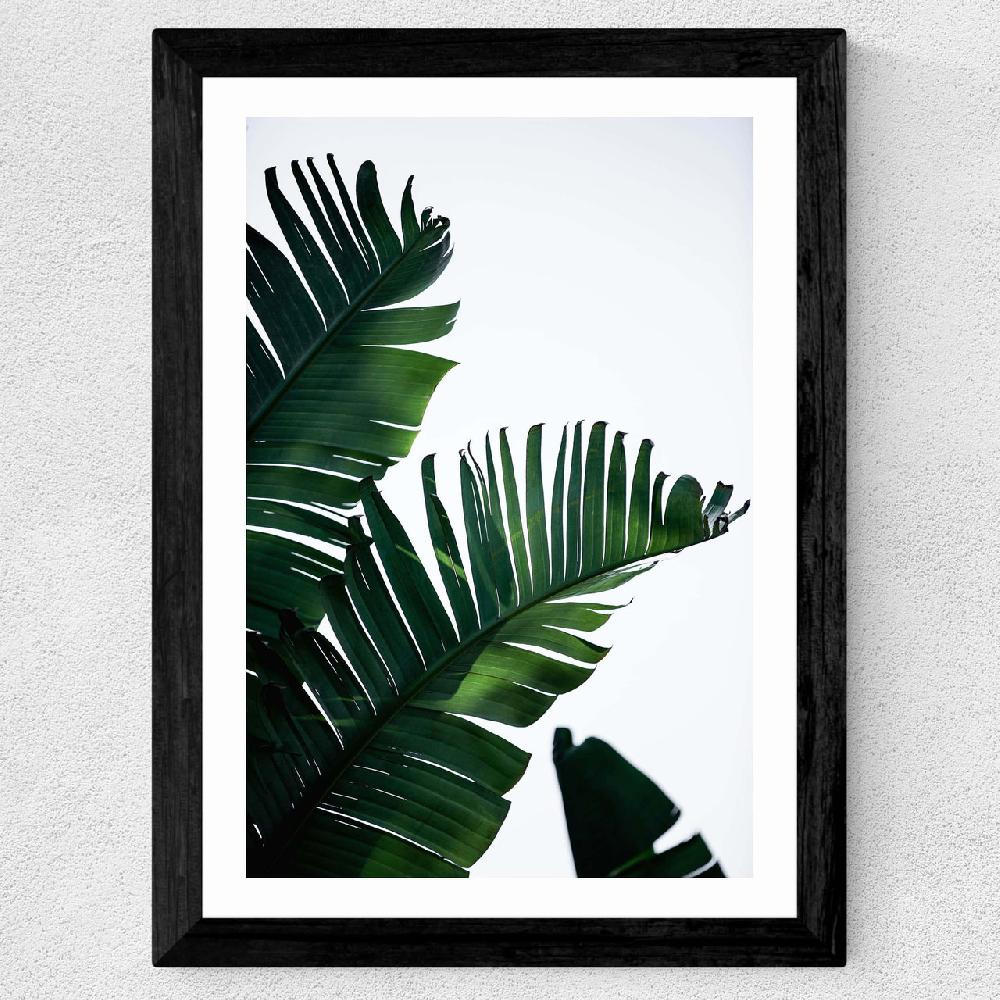 East End Prints Palm Leaves