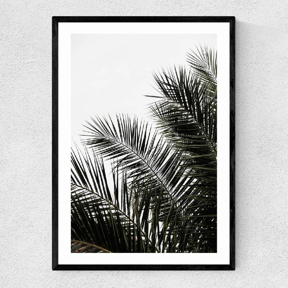 east end prints Palm Leaves 3