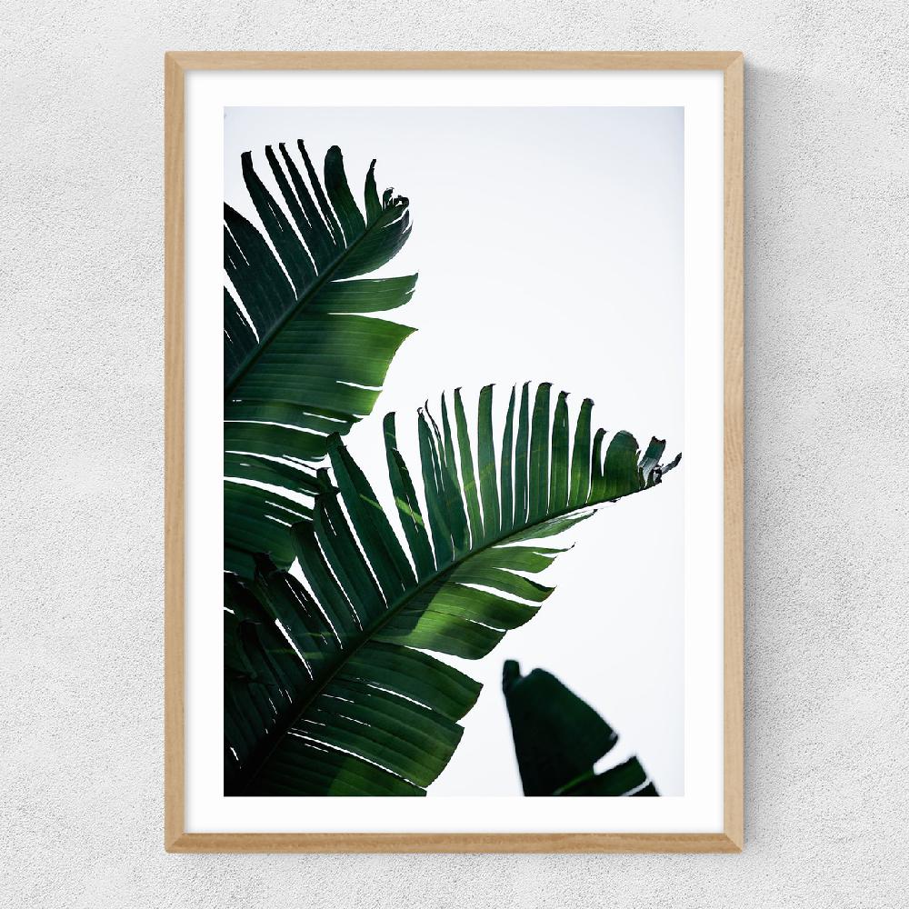 East End Prints Palm Leaves