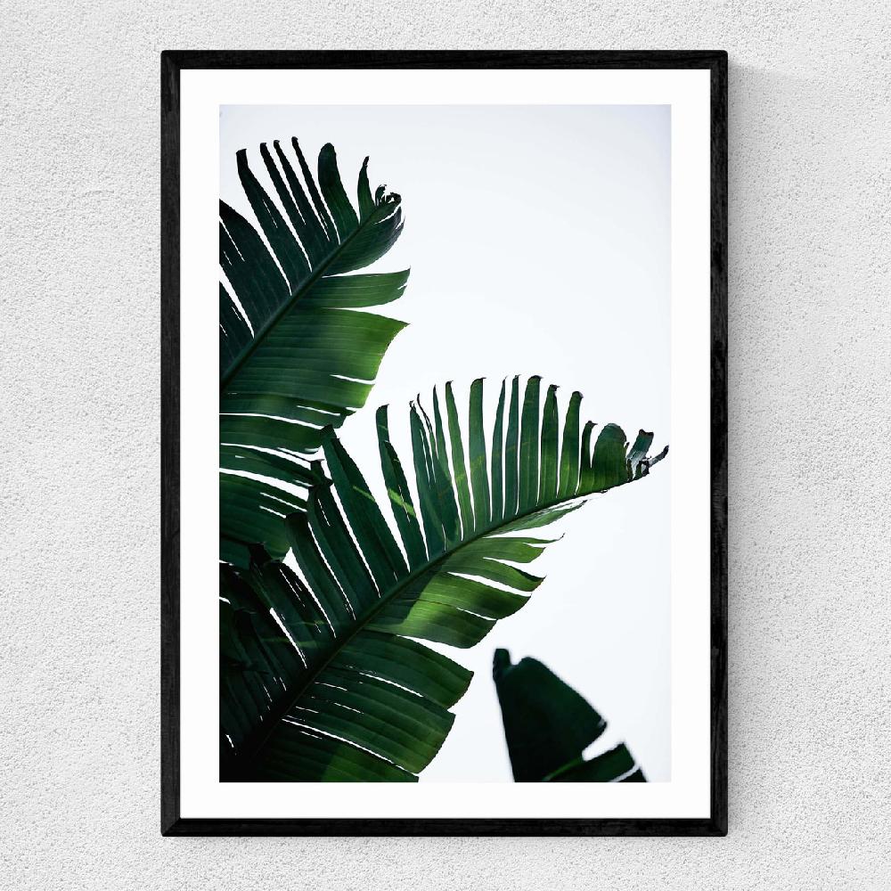 east end prints Palm Leaves