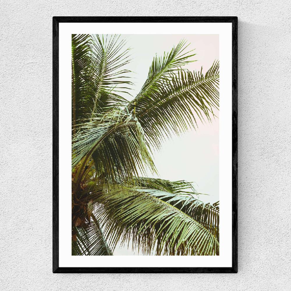 east end prints Palm Trees Above Me