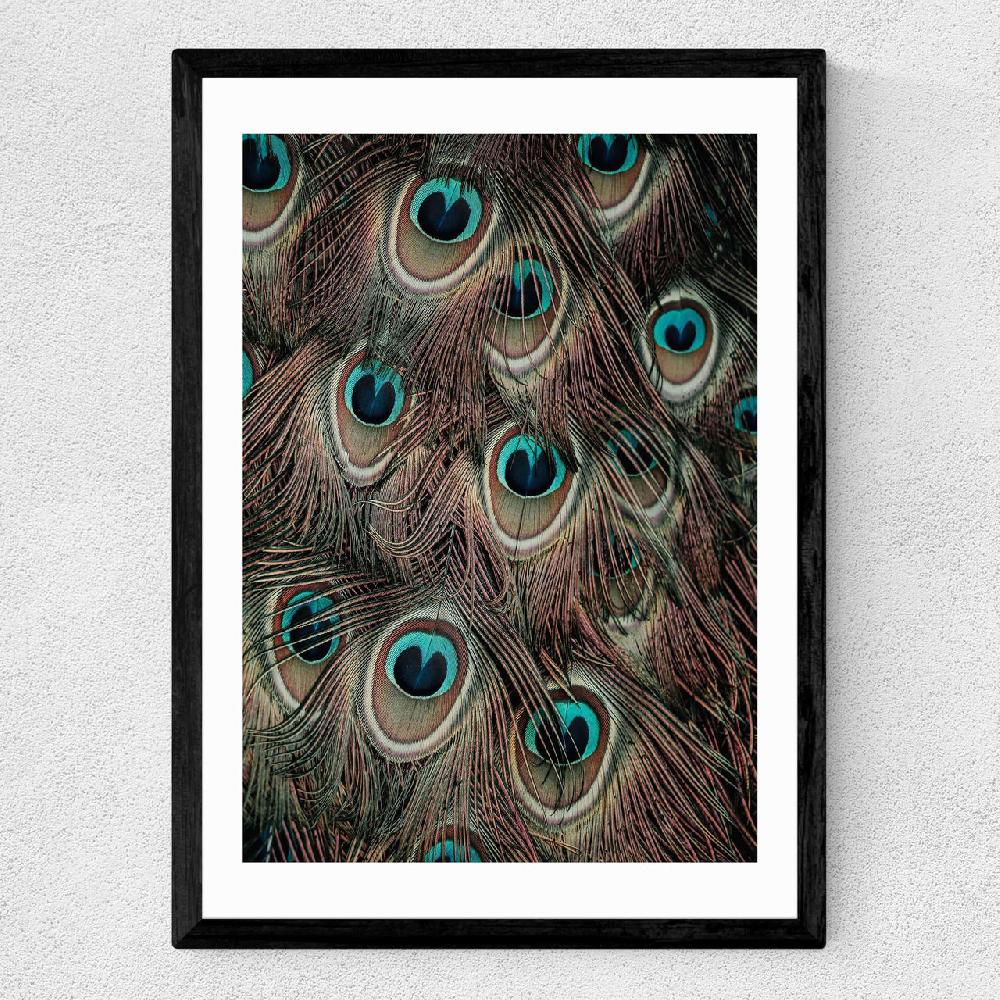 East End Prints Peacock Feathers