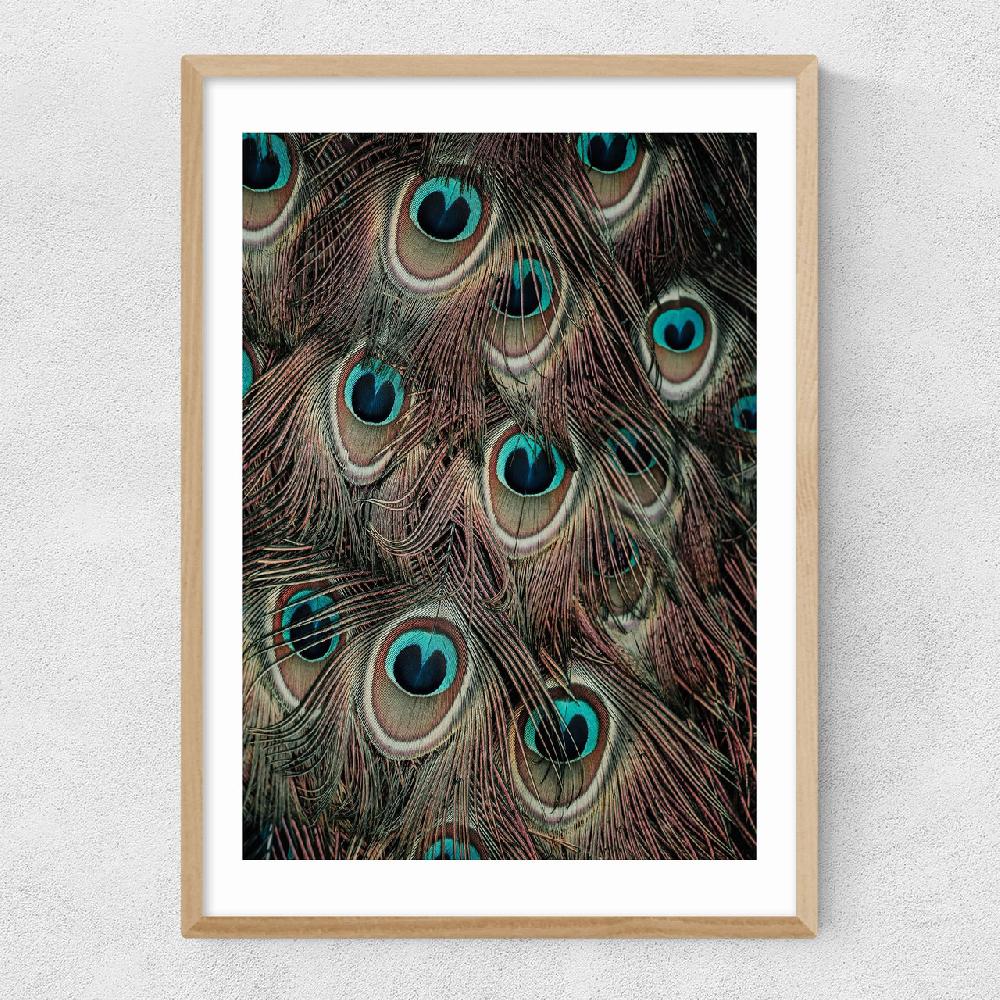 East End Prints Peacock Feathers
