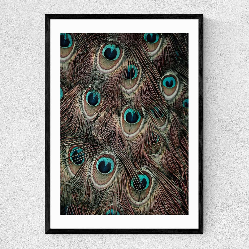 east end prints Peacock Feathers