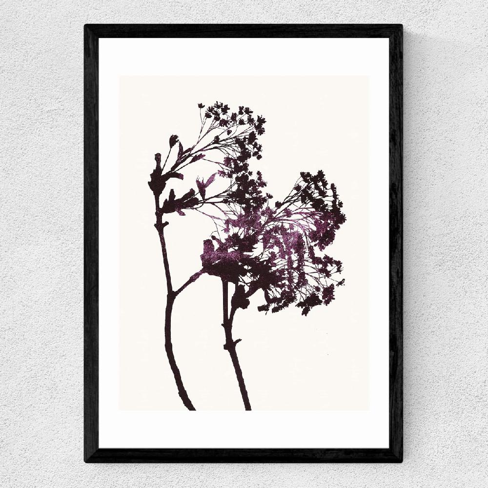 East End Prints Red Maple