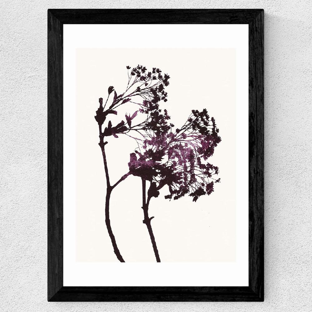 East End Prints Red Maple