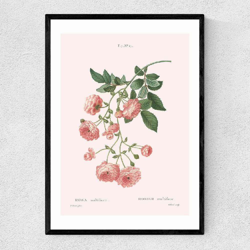 east end prints Rosier by Aster