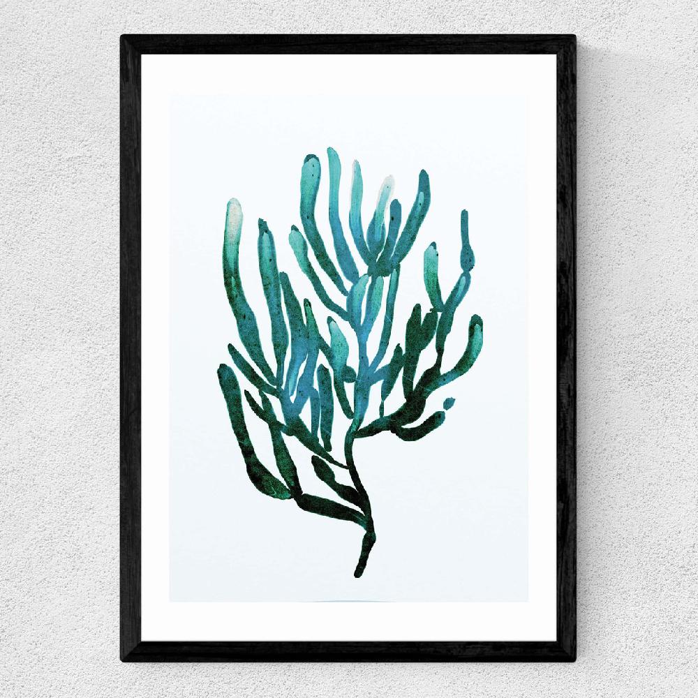 East End Prints Seaweed By Dan Hobday