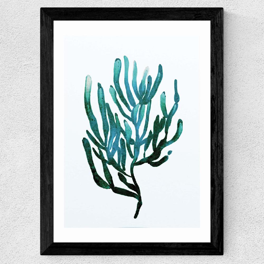 East End Prints Seaweed By Dan Hobday