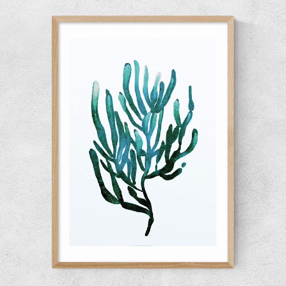 East End Prints Seaweed By Dan Hobday