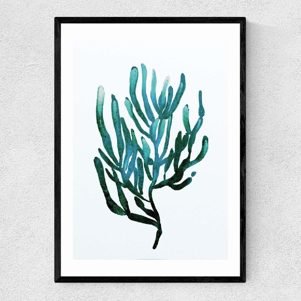 east end prints Seaweed by Dan Hobday