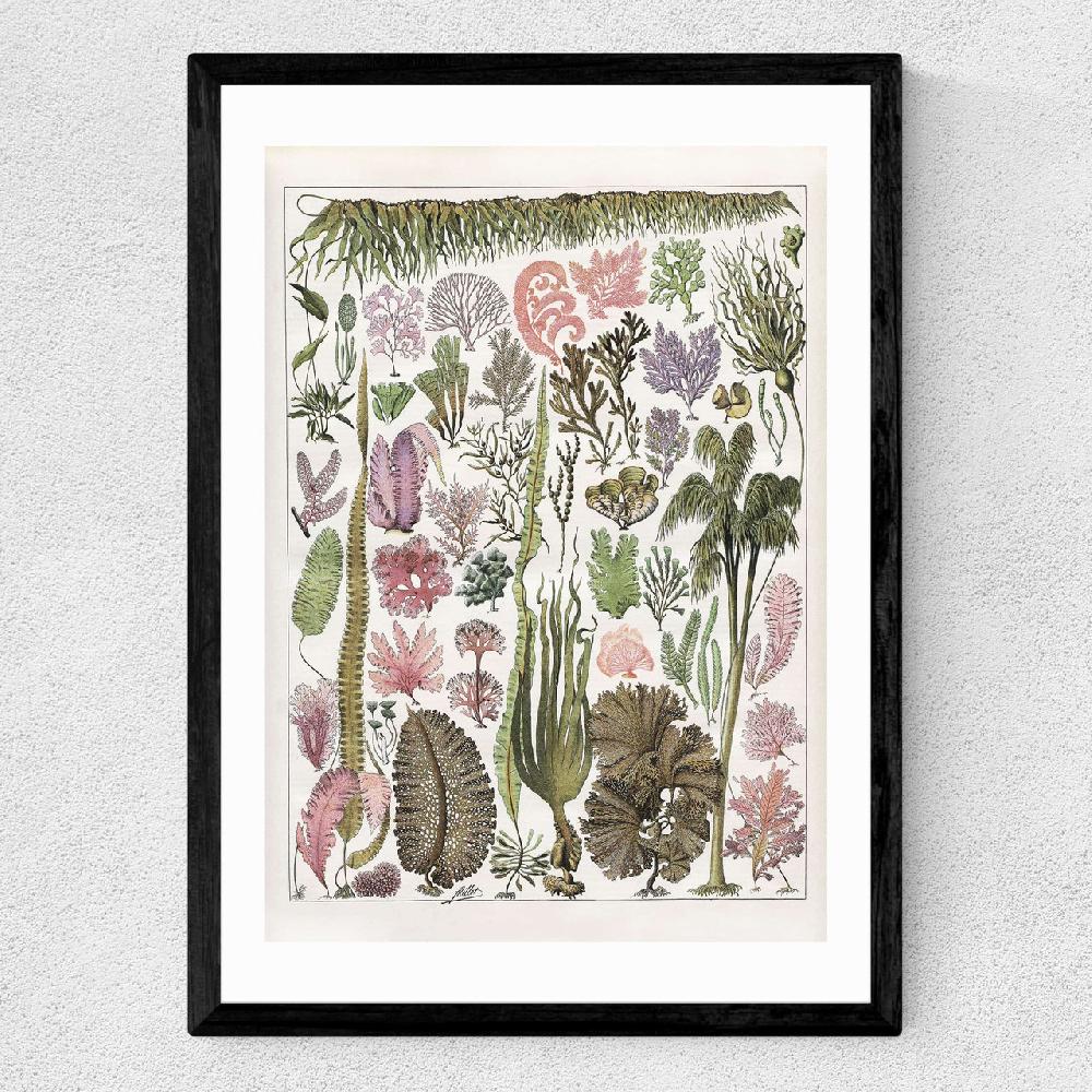 East End Prints Seaweed - Pink