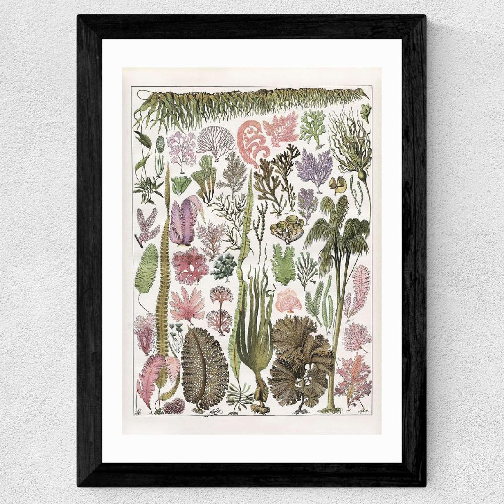 East End Prints Seaweed - Pink