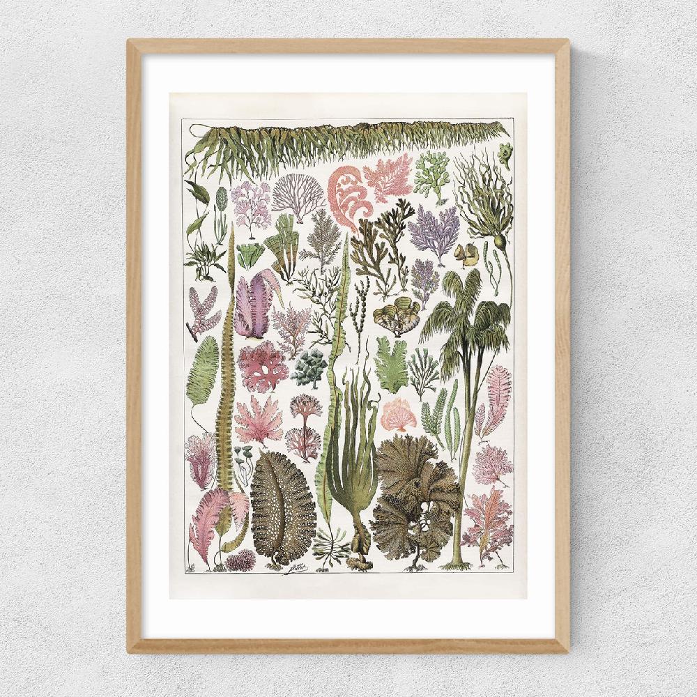 East End Prints Seaweed - Pink