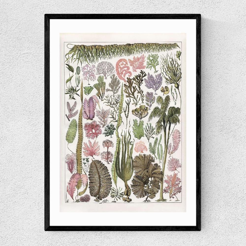 east end prints Seaweed - Pink