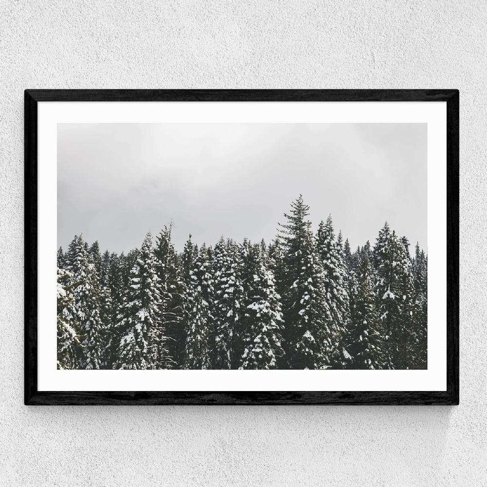 East End Prints Snow Trees