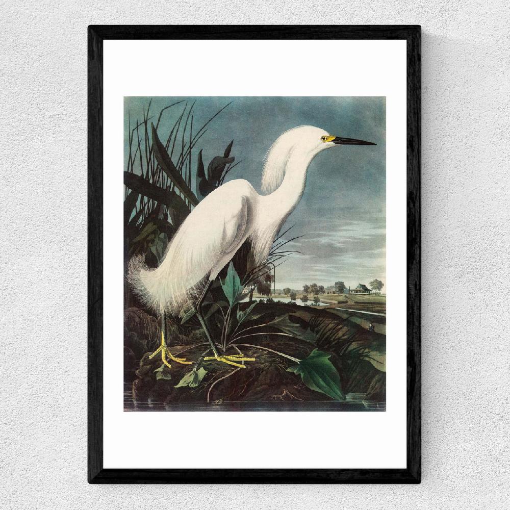 East End Prints Snowy Egret By John James Audubon