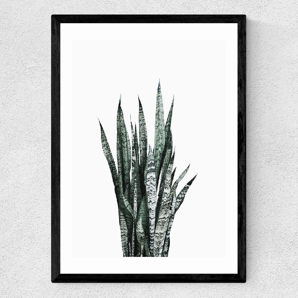 East End Prints Succulent Set 1