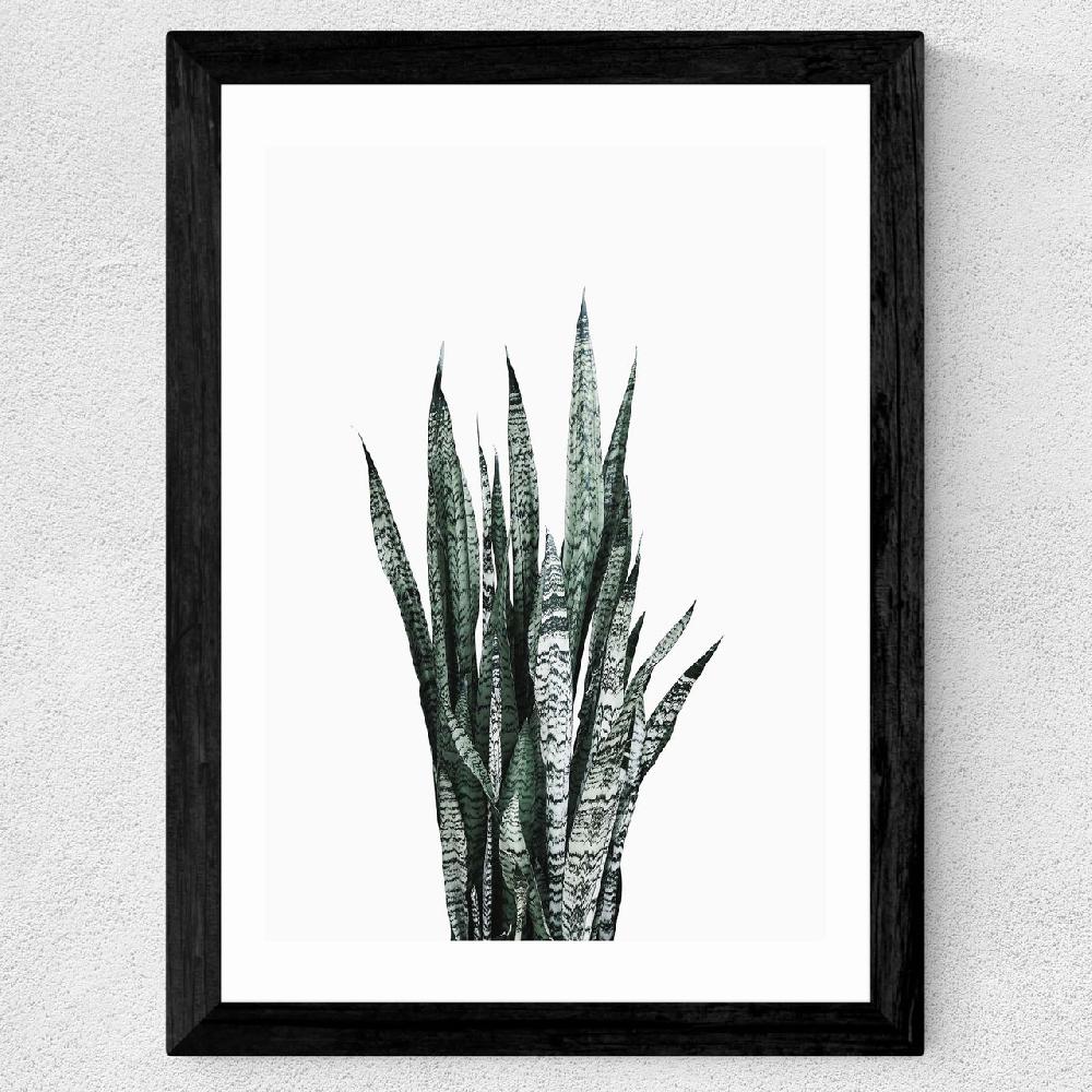 East End Prints Succulent Set 1