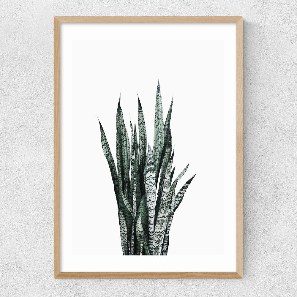 East End Prints Succulent Set 1