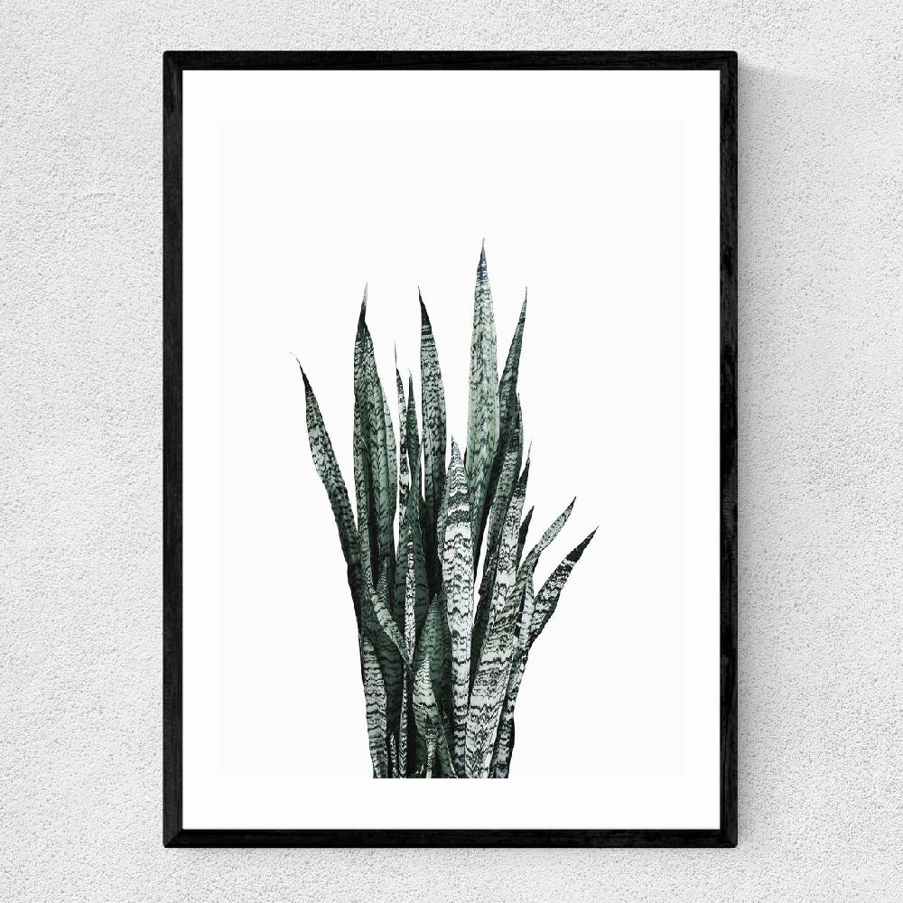 east end prints Succulent Set 1