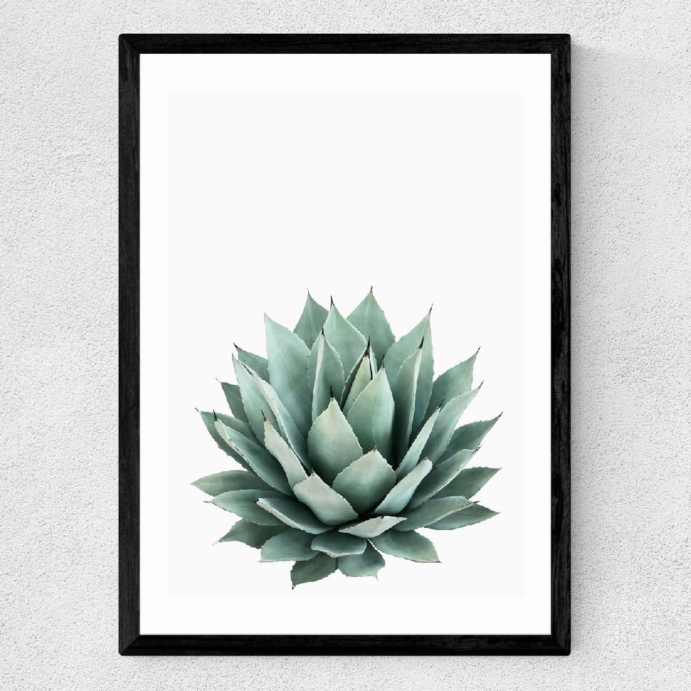 East End Prints Succulent Set 2