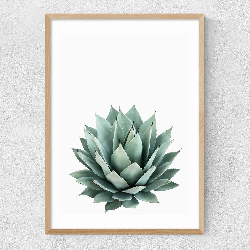 East End Prints Succulent Set 2