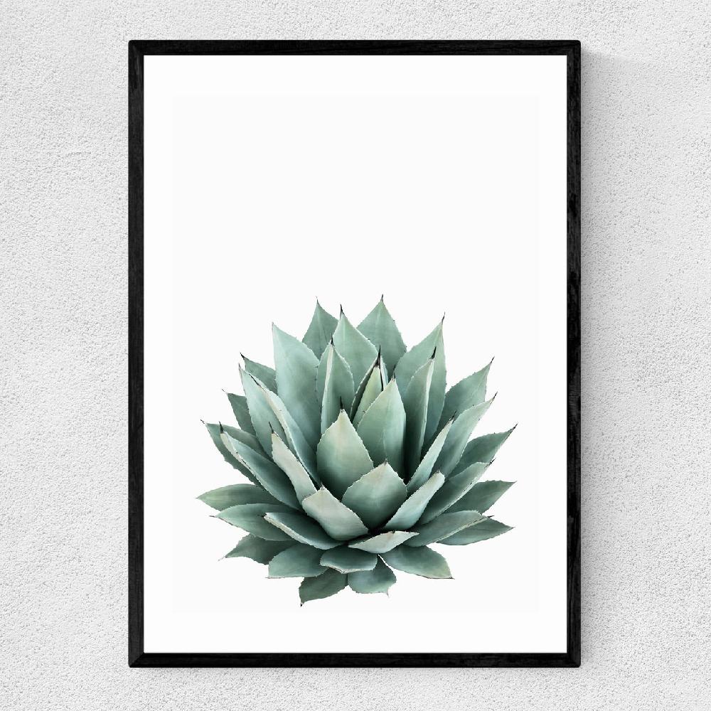 east end prints Succulent Set 2