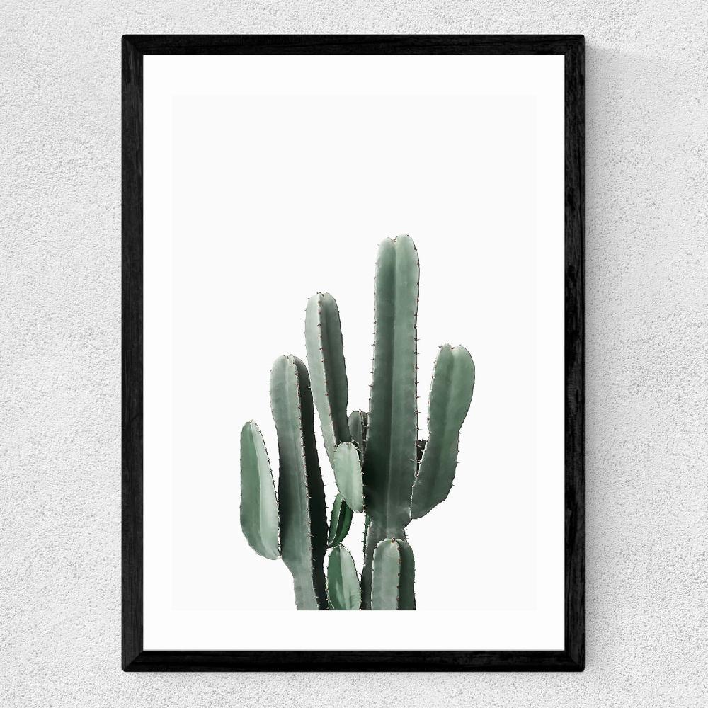 East End Prints Succulent Set 3